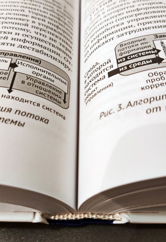Достаточно общая теория управления (ДОТУ)