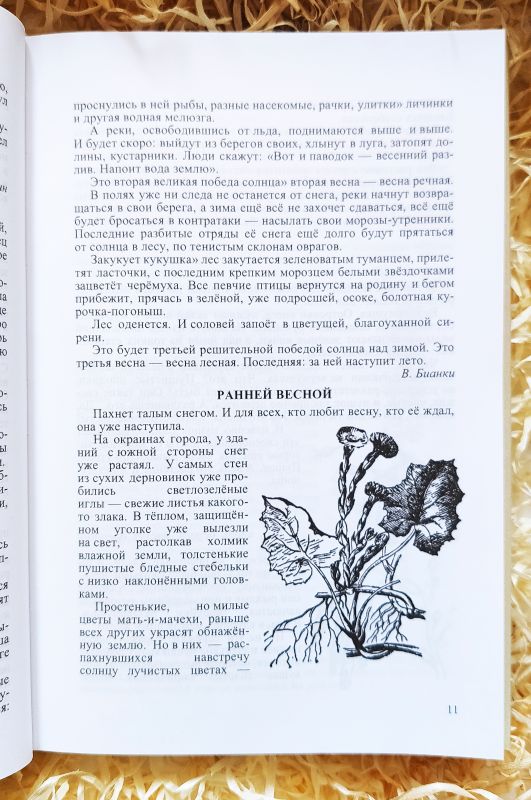Четыре времени года. Книга для воспитателя детского сада