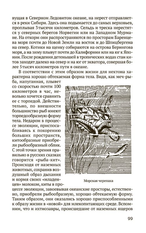 Океан [1955]