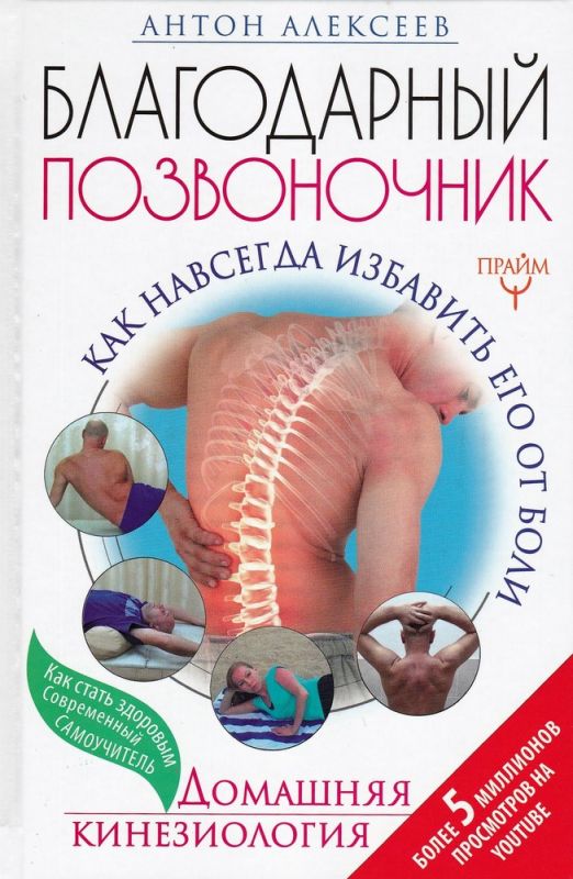 Благодарный позвоночник. Как навсегда избавить его от боли. Домашняя кинезиология