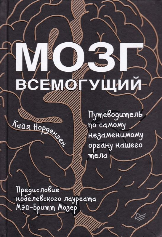 Мозг всемогущий. Путеводитель по самому незаменимому органу нашего тела