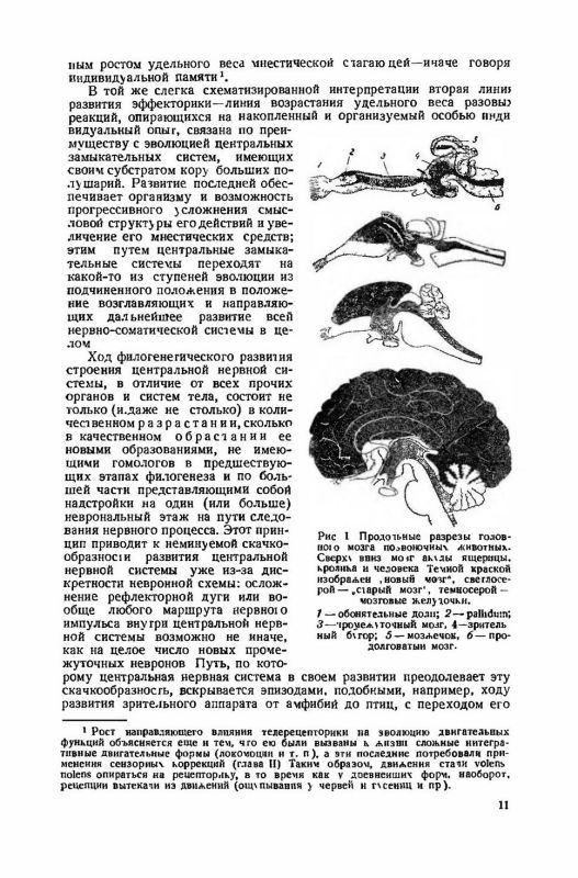 О построении движений