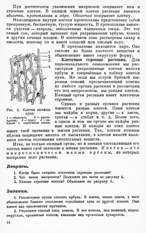 Учебник ботаники для 5 и 6 классов средней школы [1949]