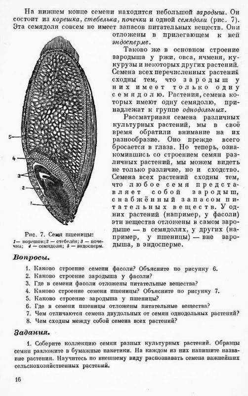 Учебник ботаники для 5 и 6 классов средней школы [1949]