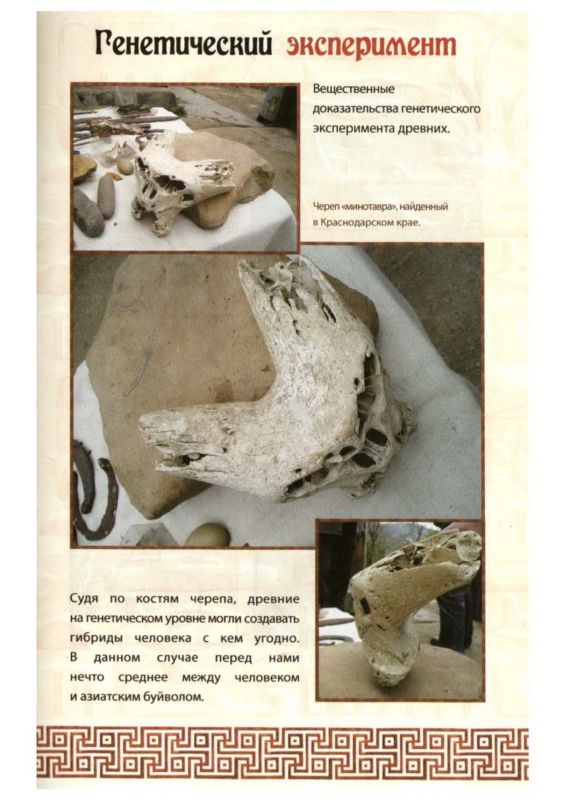 Хронолого-эзотерический анализ развития современной цивилизации. Книга 4. За семью печатями