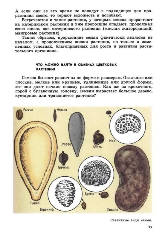 Книга для чтения по ботанике [1978]