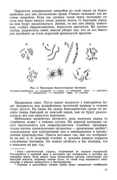 Целебные яды растений