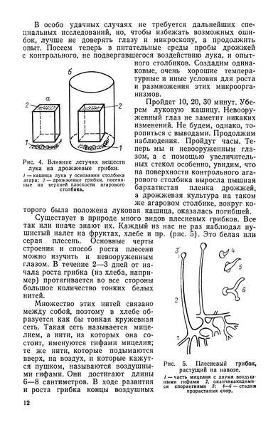 Целебные яды растений