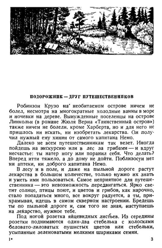 Лечебница в лесу