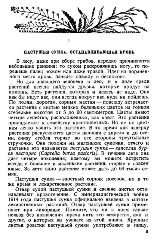 Лечебница в лесу